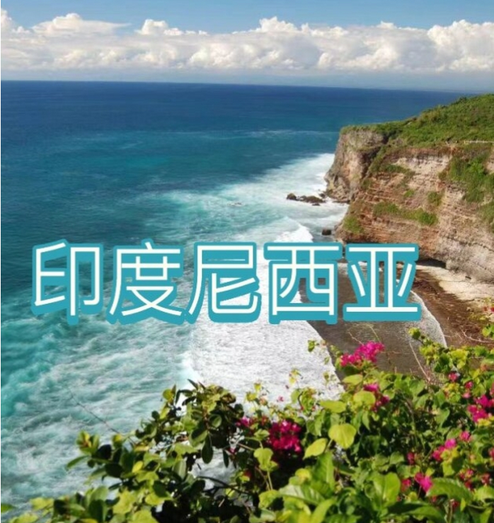 国际电商(印尼)产业博览会澳门新葡京入口2025中国(图3)