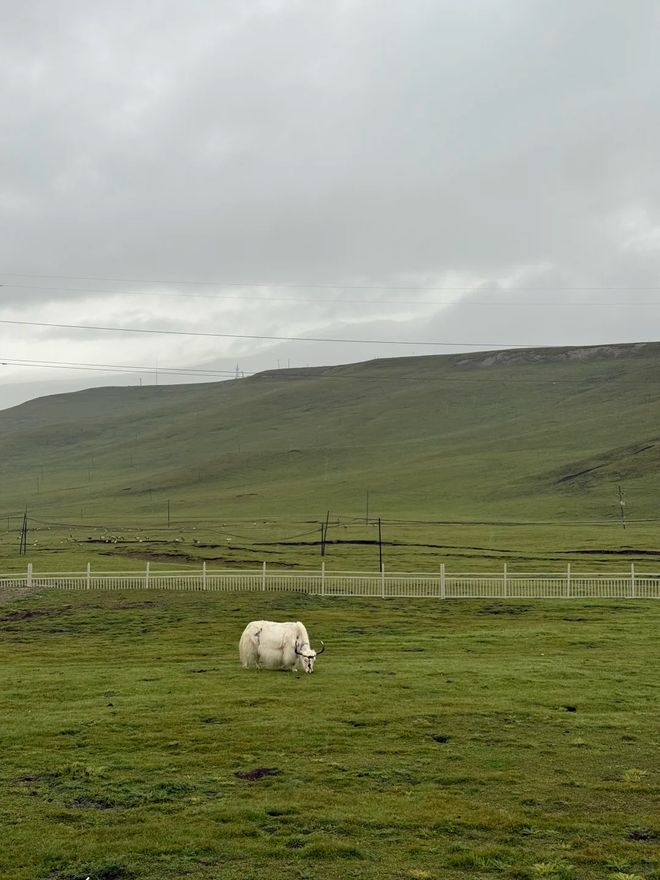 甘青大环线最佳路线图与深度旅游攻略新葡京